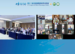 中华医学会第十三届全国显微外科学术会议胜利召开